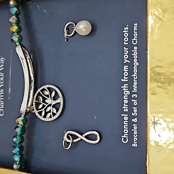 New in packaging Alex and Ani Charms your Way Channel your Strength Set - Picture 2 of 3